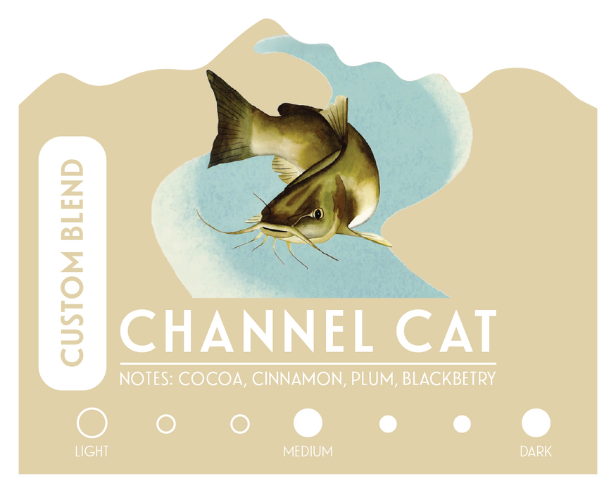 Channel Cat: Medium Dark Blend